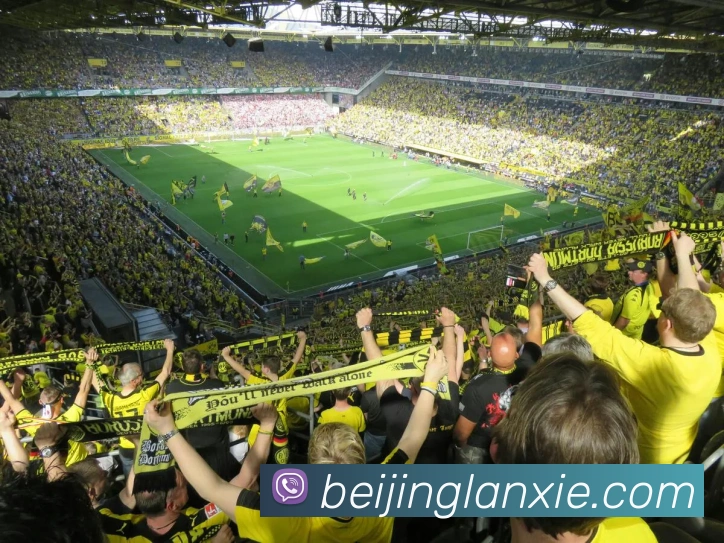 爱游戏官网app登录入口app平台生态图